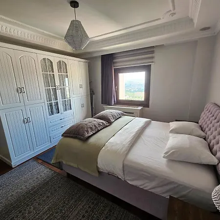 The Most Luxurious Apartment-the Flat New York Apartment *