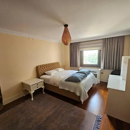 The Most Luxurious Apartment-the Flat New York